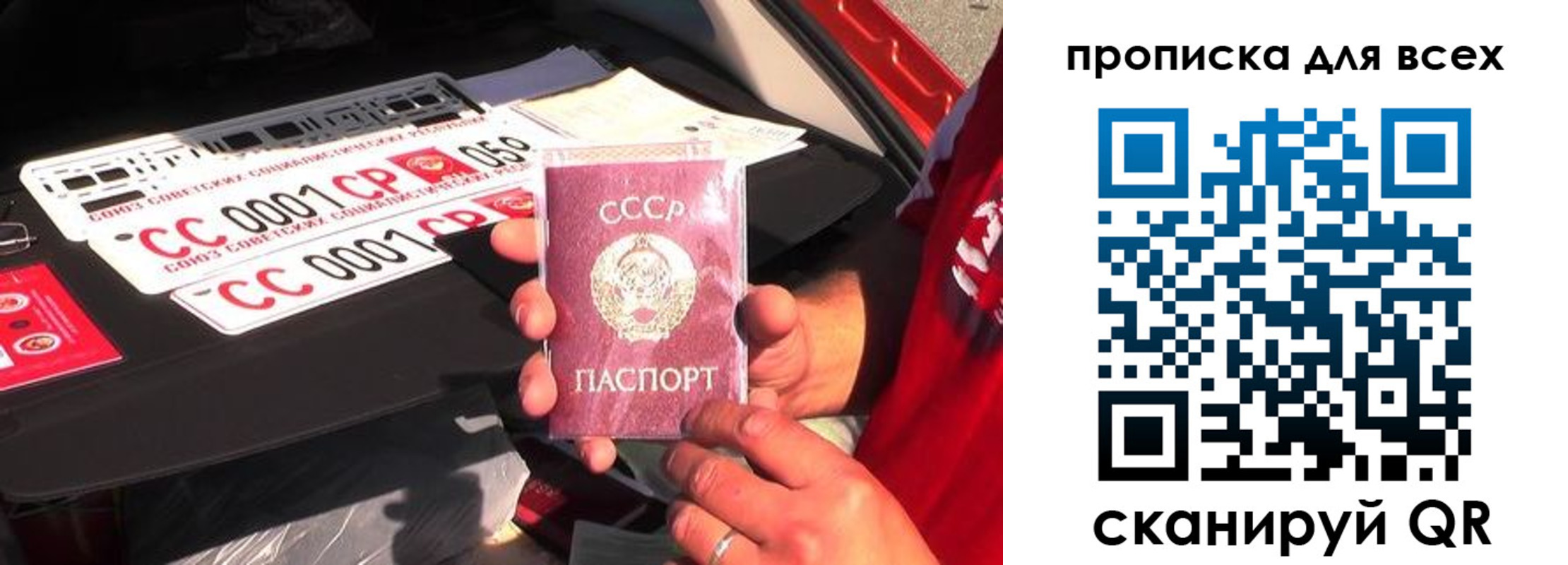 прописка для школы в Ясном